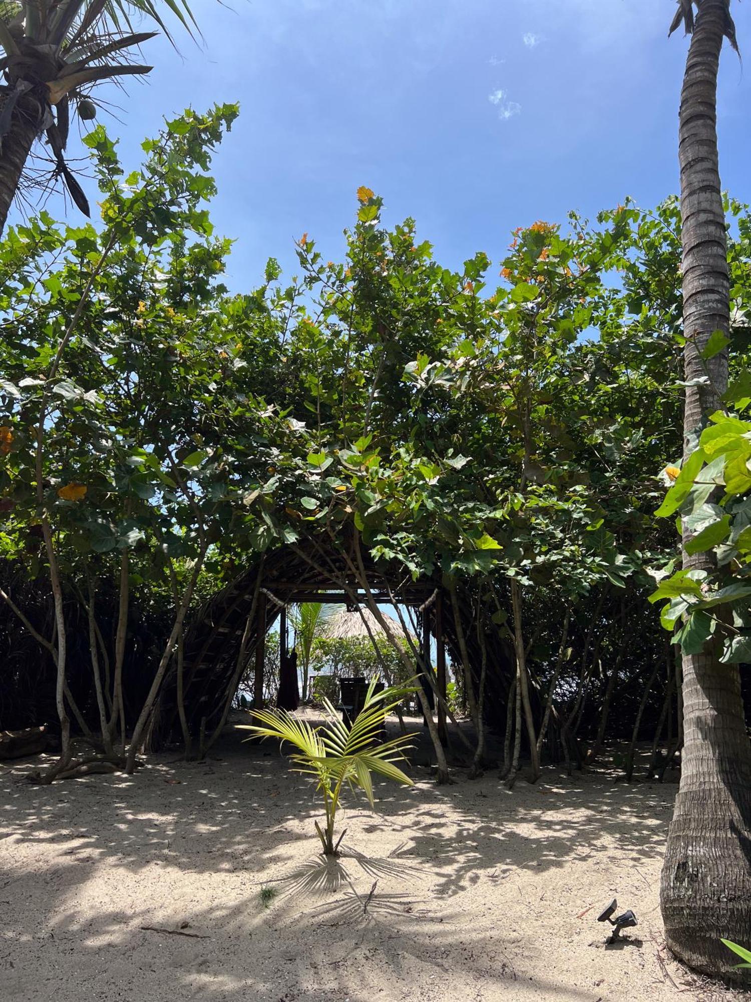 Hotel Lote 10 Glamping Guachaca Exterior foto